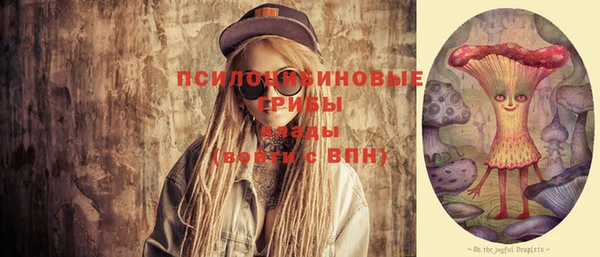 соль ск Нея