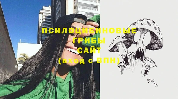 молекула духа Нефтегорск