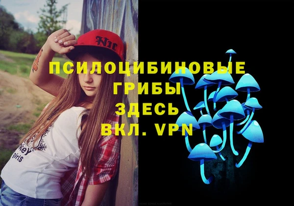 хмурый Нефтекумск