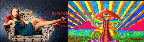 спайс Новокубанск