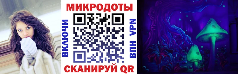 Псилоцибиновые грибы Psilocybe  Губкинский 