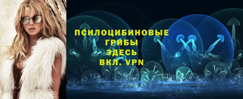 даркнет формула  купить  цена  Губкинский  Галлюциногенные грибы ЛСД 