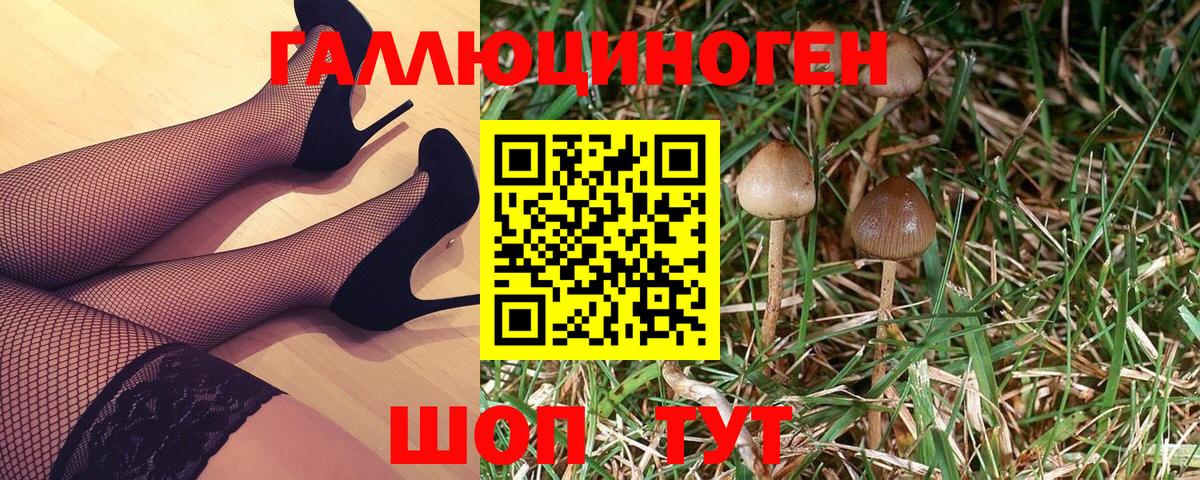 Губкинский  Псилоцибиновые грибы MAGIC MUSHROOMS  Вход с VPN 