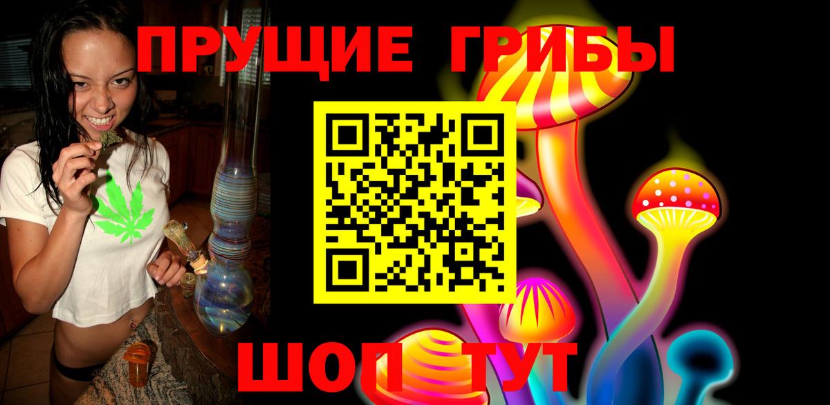 Галлюциногенные грибы прущие грибы Губкинский