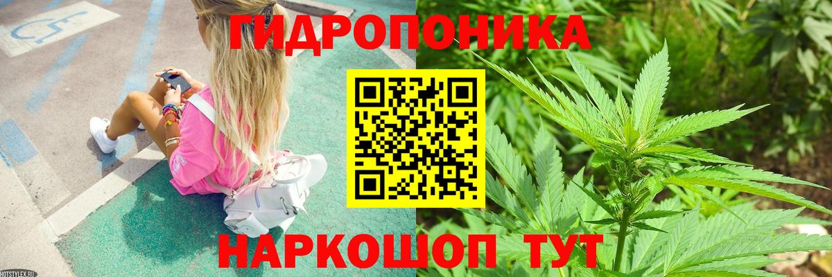 Шишки марихуана гибрид  Конопля VHQ  Губкинский  Вход с VPN 